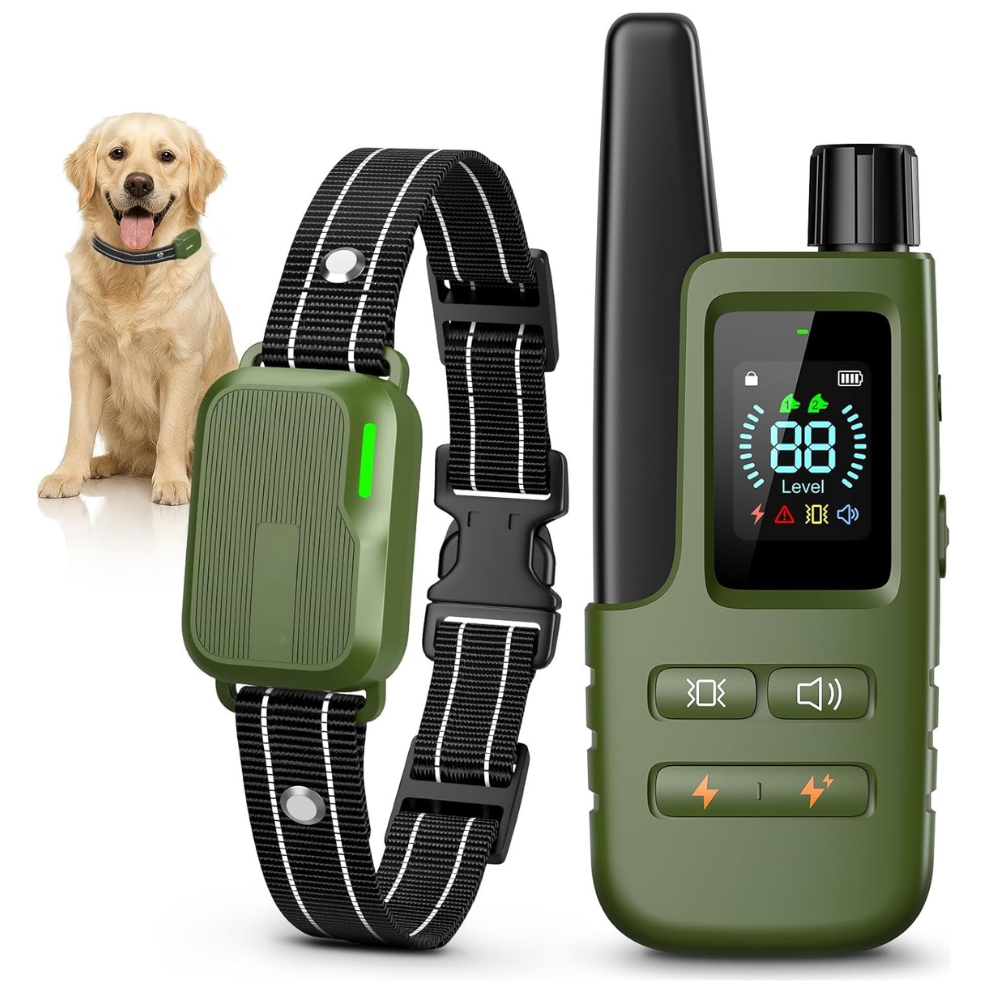 Dog Training Shock Collar